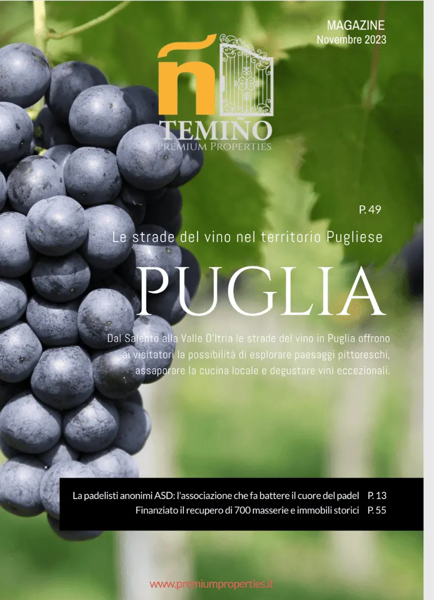 Temiño Magazine — Puglia: le strade del vino
